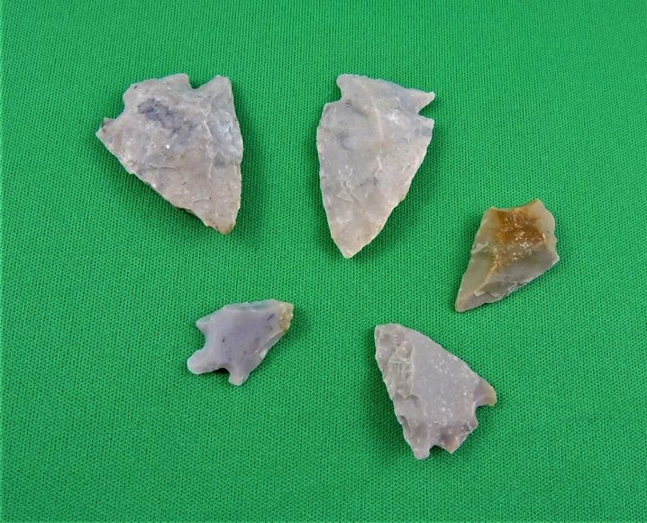 Image for Arrowhead Collector Clearance