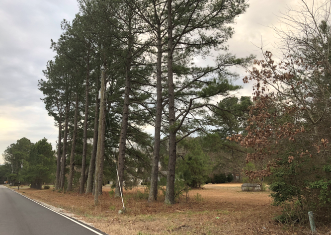 Image for Middlesex County, VA Sale of Tax Delinquent Real Estate