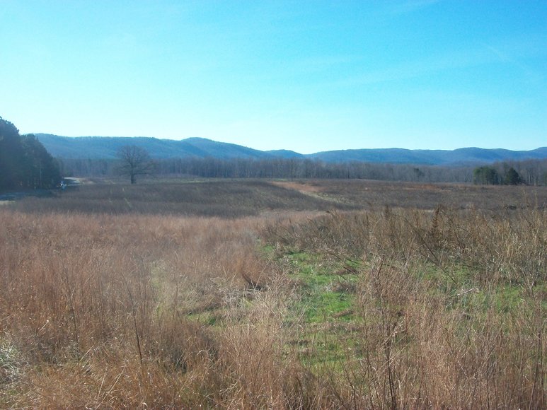 Image for ABSOLUTE TRUSTEE AUCTION: 310± AC in 3 Tracts (Penhook, VA)