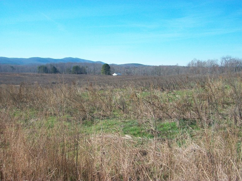 Image for ABSOLUTE TRUSTEE AUCTION: 310± AC in 3 Tracts (Penhook, VA)