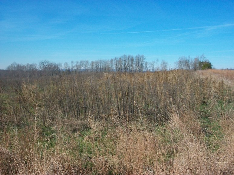 Image for ABSOLUTE TRUSTEE AUCTION: 310± AC in 3 Tracts (Penhook, VA)