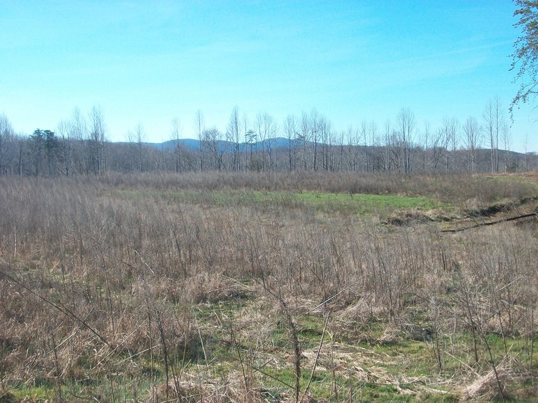 Image for ABSOLUTE TRUSTEE AUCTION: 310± AC in 3 Tracts (Penhook, VA)