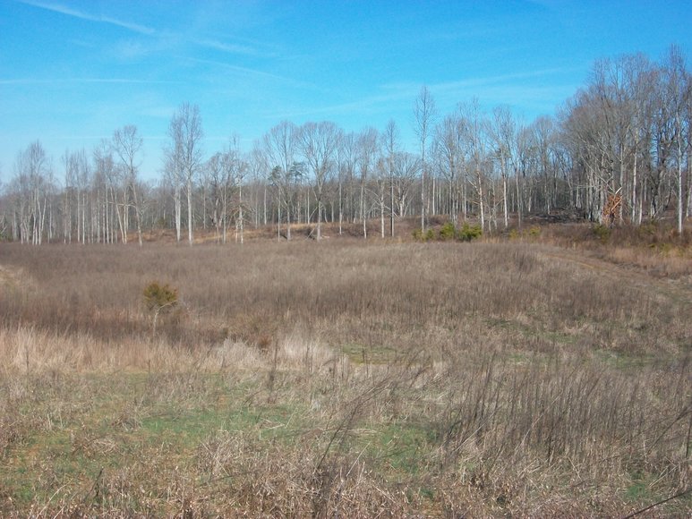 Image for ABSOLUTE TRUSTEE AUCTION: 310± AC in 3 Tracts (Penhook, VA)