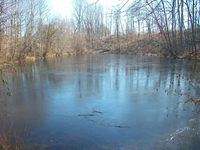 Image for ABSOLUTE TRUSTEE AUCTION: 310± AC in 3 Tracts (Penhook, VA)