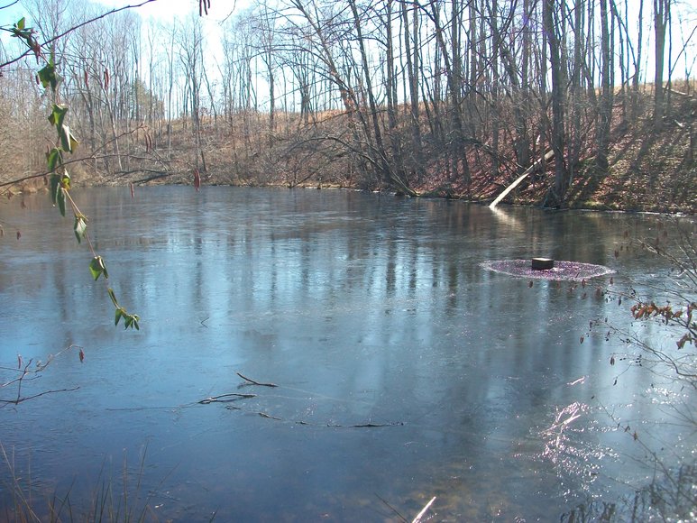 Image for ABSOLUTE TRUSTEE AUCTION: 310± AC in 3 Tracts (Penhook, VA)