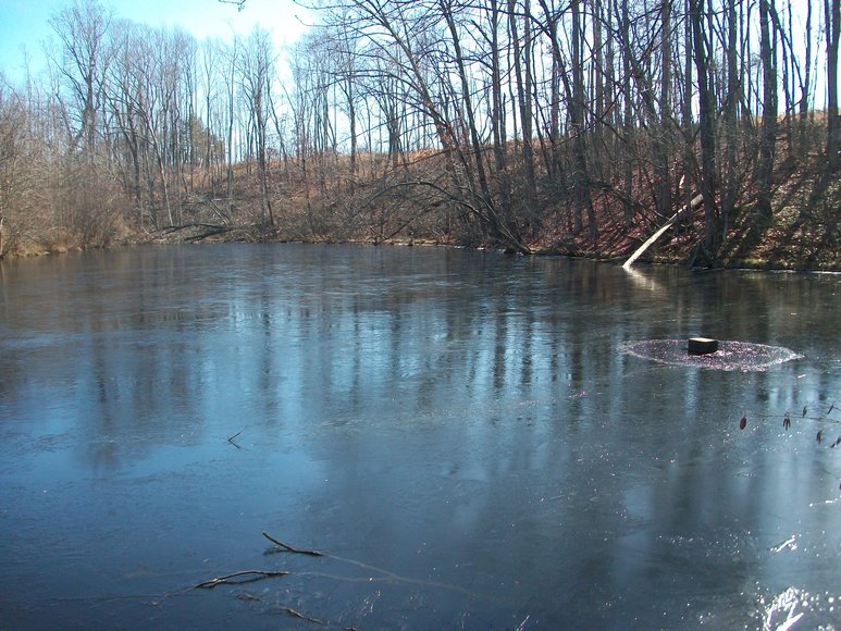 Image for ABSOLUTE TRUSTEE AUCTION: 310± AC in 3 Tracts (Penhook, VA)