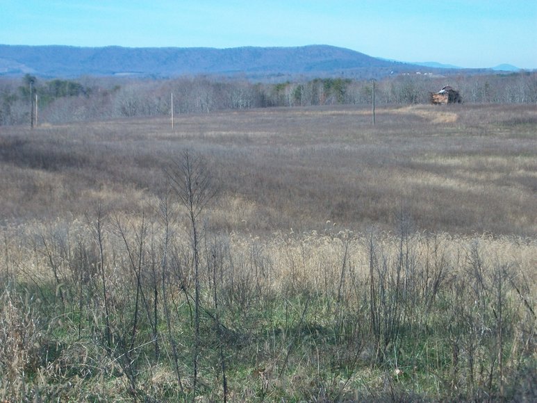 Image for ABSOLUTE TRUSTEE AUCTION: 310± AC in 3 Tracts (Penhook, VA)