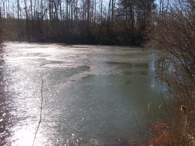 Image for ABSOLUTE TRUSTEE AUCTION: 310± AC in 3 Tracts (Penhook, VA)