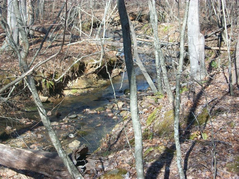 Image for ABSOLUTE TRUSTEE AUCTION: 310± AC in 3 Tracts (Penhook, VA)