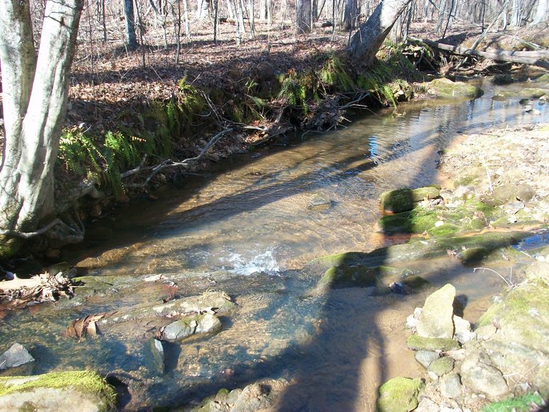 Image for ABSOLUTE TRUSTEE AUCTION: 310± AC in 3 Tracts (Penhook, VA)