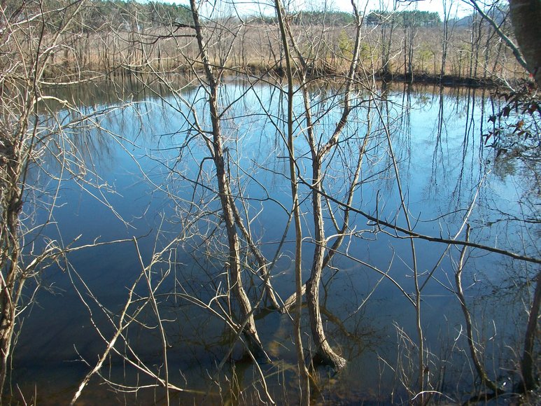 Image for ABSOLUTE TRUSTEE AUCTION: 310± AC in 3 Tracts (Penhook, VA)