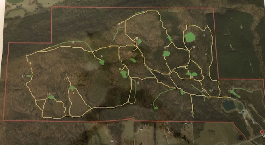 Image for 615± Acres - Shoal Creek Valley (Ashville), Alabama