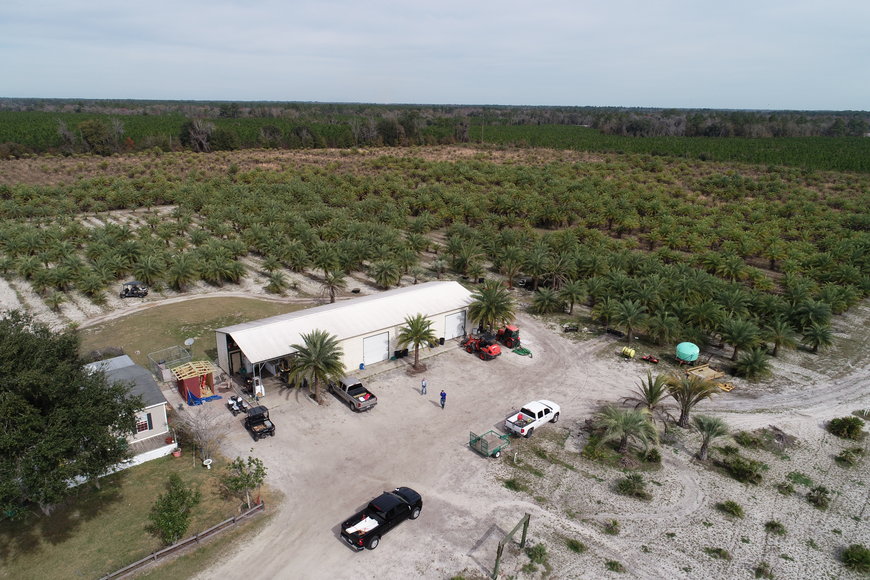Image for Online Auction of a 90+/- Acre Palm Tree Farm in Jasper, FL
