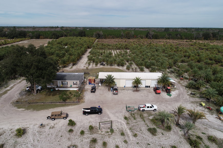 Image for Online Auction of a 90+/- Acre Palm Tree Farm in Jasper, FL