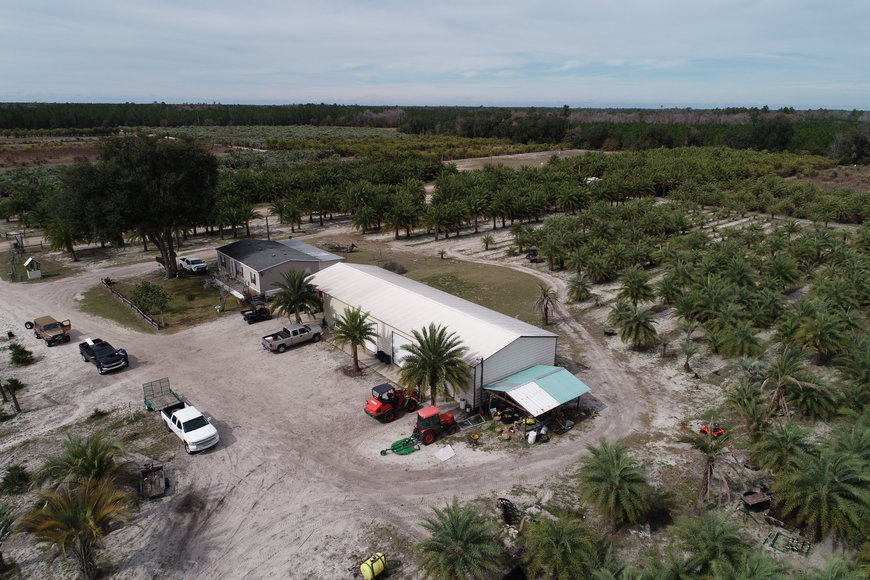 Image for Online Auction of a 90+/- Acre Palm Tree Farm in Jasper, FL