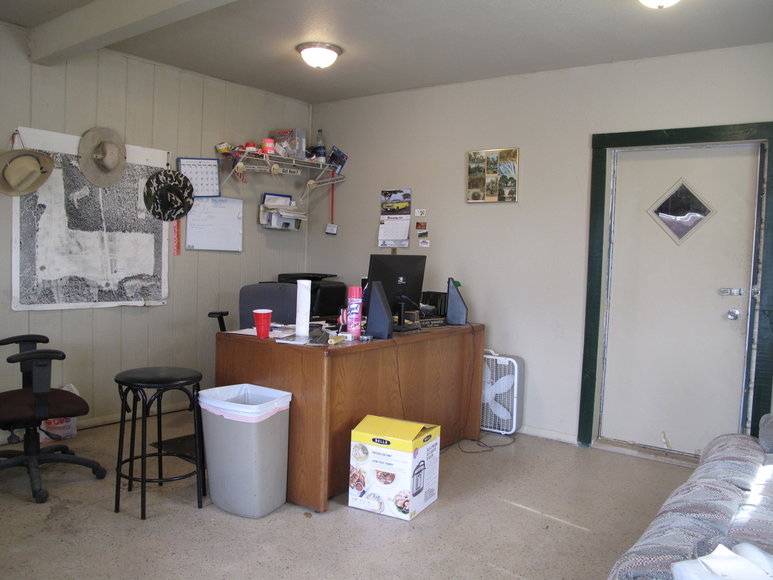 Image for Online Auction of a 90+/- Acre Palm Tree Farm in Jasper, FL