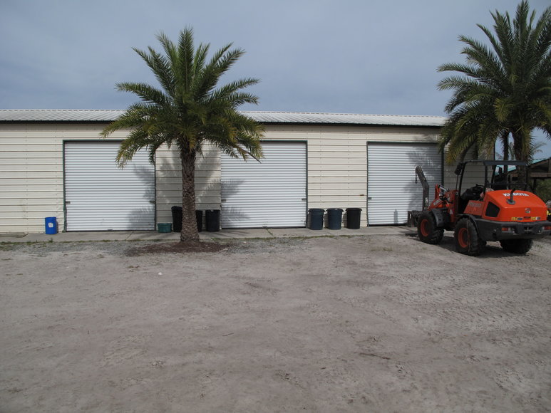 Image for Online Auction of a 90+/- Acre Palm Tree Farm in Jasper, FL