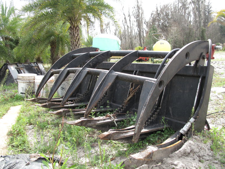 Image for Online Auction of a 90+/- Acre Palm Tree Farm in Jasper, FL