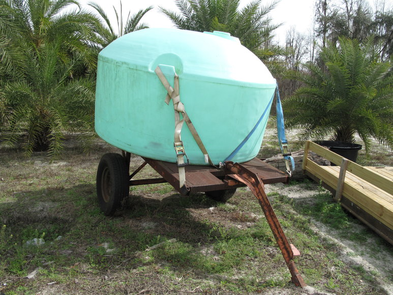 Image for Online Auction of a 90+/- Acre Palm Tree Farm in Jasper, FL