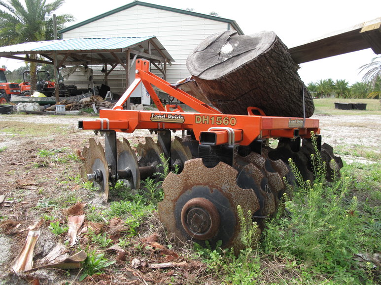 Image for Online Auction of a 90+/- Acre Palm Tree Farm in Jasper, FL