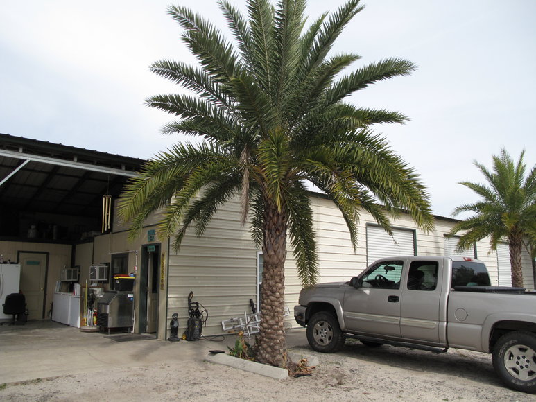 Image for Online Auction of a 90+/- Acre Palm Tree Farm in Jasper, FL