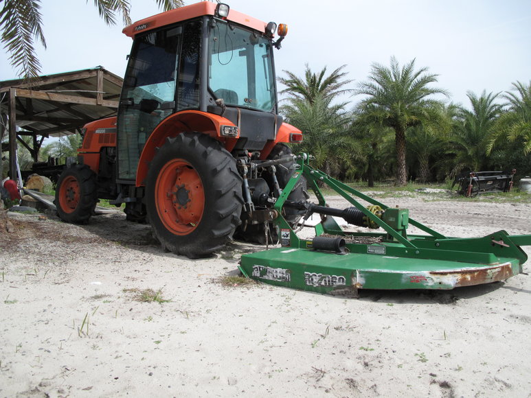 Image for Online Auction of a 90+/- Acre Palm Tree Farm in Jasper, FL