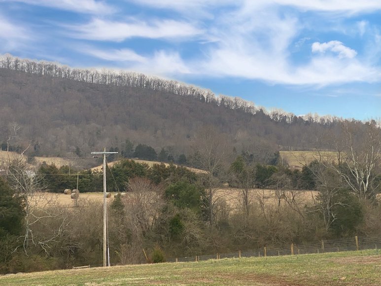 Image for Move-In Ready 3 BR/2.5 BA Home w/Outbuildings on 3.9 +/- Acres in Madison County, VA