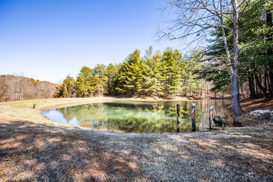 Image for Immaculate 4 BR/3.5 BA Home w/Large Shop & Pond on 10 +/- Acres--Fauquier County, VA   ONLINE ONLY BIDDING!!