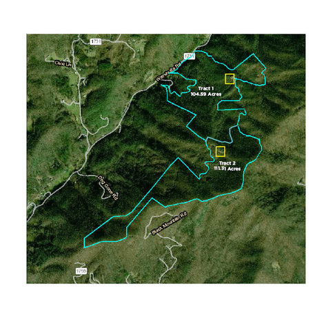 Image for LIVE AUCTION - Sylva, NC