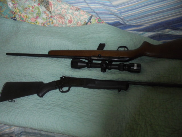 Image for PUBLIC ESTATE AUCTION