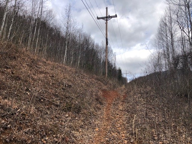 Image for 79 Acres of Land For Sale in Cana Virginia - TBD Rocky Ford Road