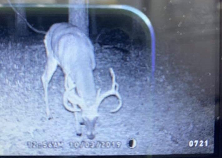 Image for 25.52+/- ACRES OFFERED IN 4 TRACTS AND COMBINATIONS