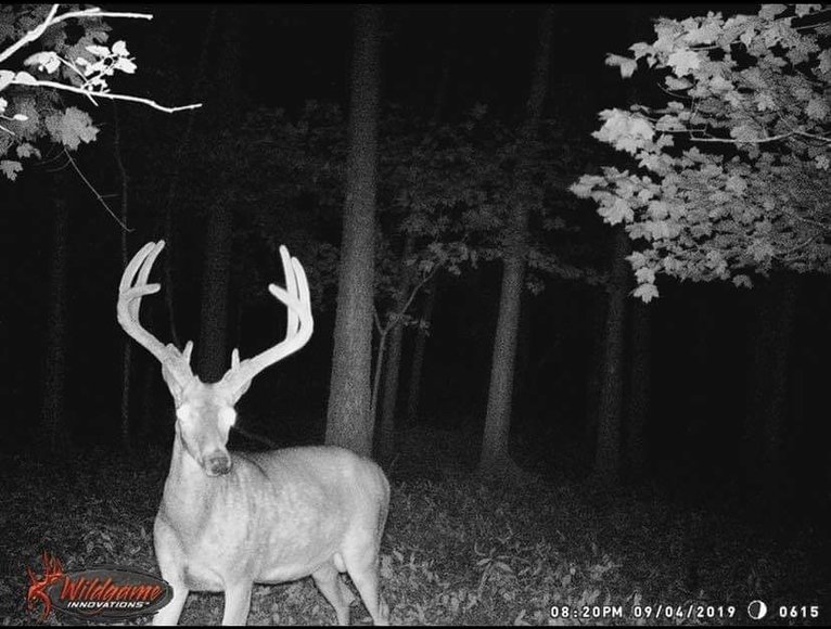 Image for 25.52+/- ACRES OFFERED IN 4 TRACTS AND COMBINATIONS