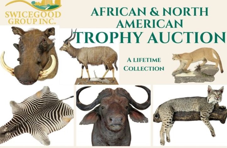 Image for Sharkey Trophy Mount Collection