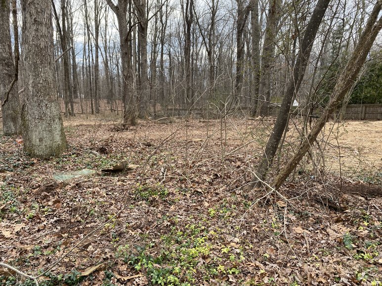 Image for 3 BR/1 BA Brick Ranch Style Home on 1/2 Acre Corner Lot in Madison County, VA--SELLS to the HIGHEST BIDDER!!  ONLINE ONLY BIDDING!!