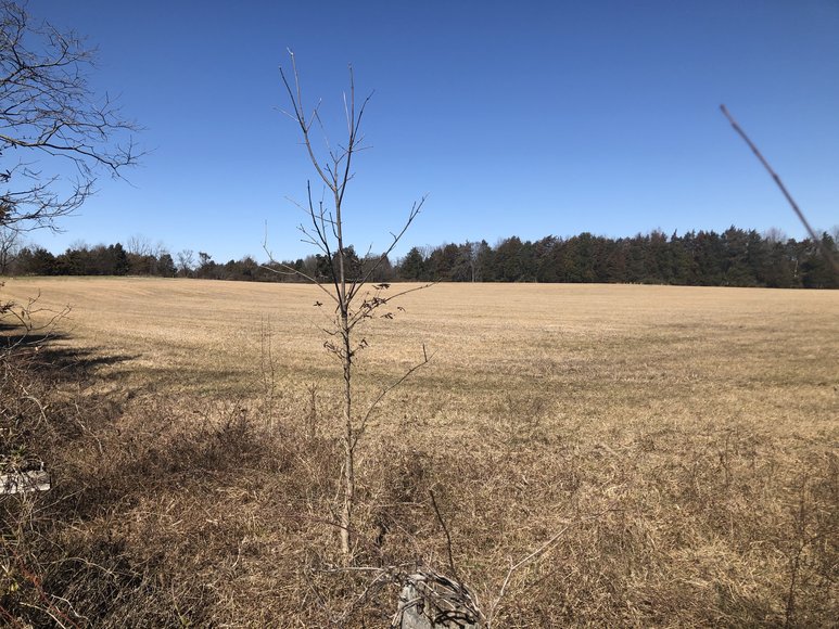 Image for ORDERED SOLD BY U.S. BANKRUPTCY COURT - Parcel 1 of 2 - 31.75 ± AC Development Site - Preliminary Approval For Potential Subdivision - 11880 Remington Rd., Remington, VA