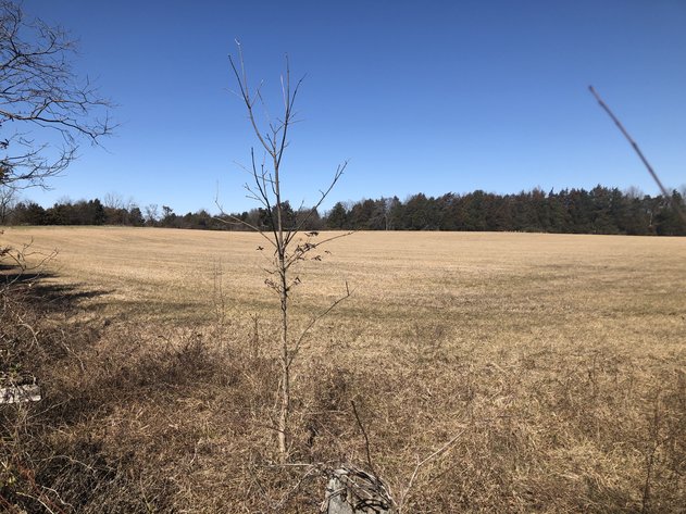 Image for ORDERED SOLD BY U.S. BANKRUPTCY COURT - Parcel 1 of 2 - 31.75 ± AC Development Site - Preliminary Approval For Potential Subdivision - 11880 Remington Rd., Remington, VA