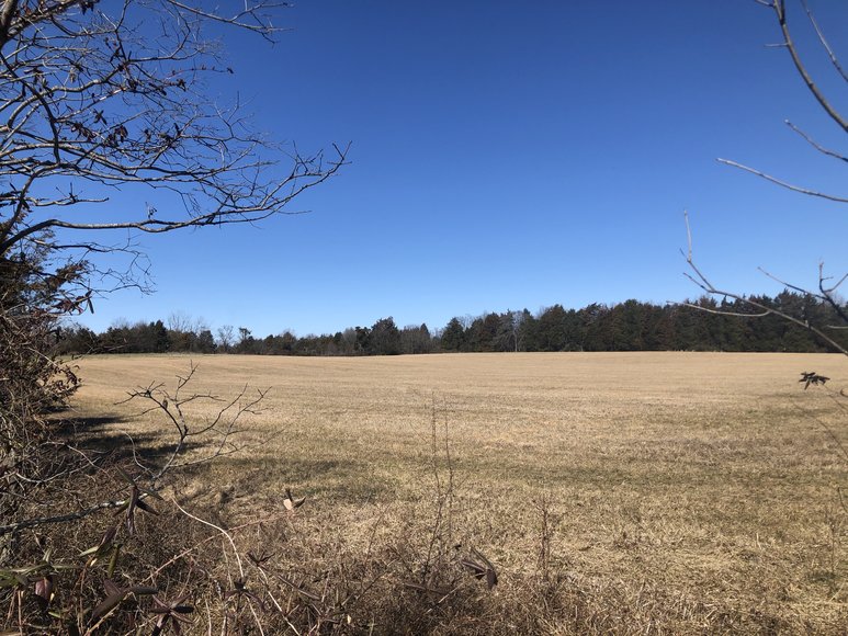 Image for ORDERED SOLD BY U.S. BANKRUPTCY COURT - Parcel 1 of 2 - 31.75 ± AC Development Site - Preliminary Approval For Potential Subdivision - 11880 Remington Rd., Remington, VA