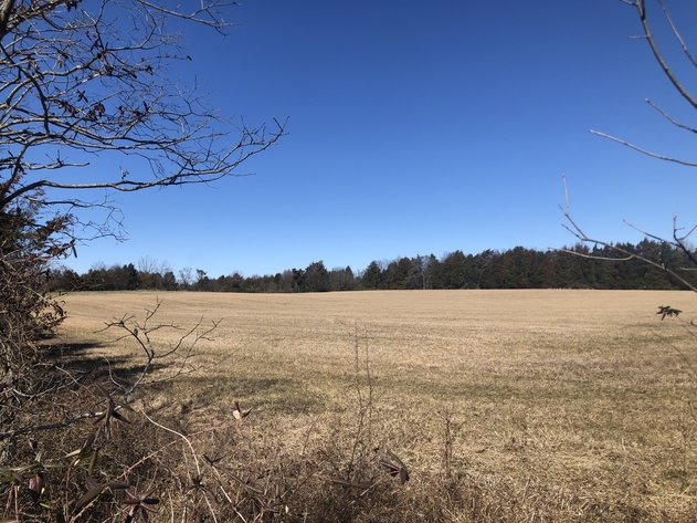 Image for ORDERED SOLD BY U.S. BANKRUPTCY COURT - Parcel 1 of 2 - 31.75 ± AC Development Site - Preliminary Approval For Potential Subdivision - 11880 Remington Rd., Remington, VA
