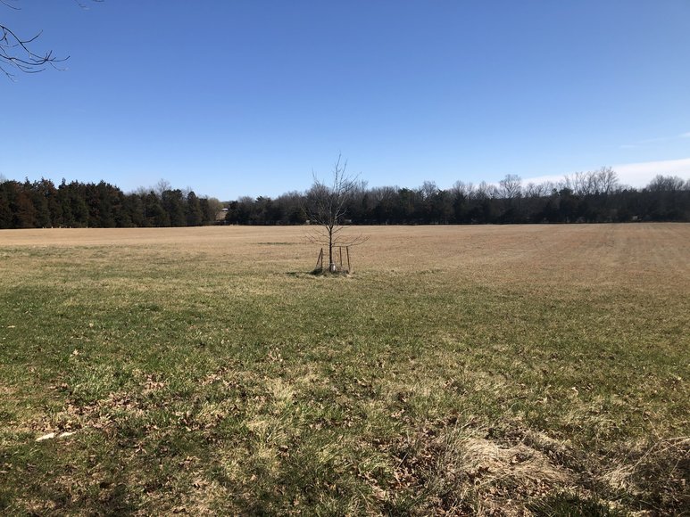 Image for ORDERED SOLD BY U.S. BANKRUPTCY COURT - Parcel 1 of 2 - 31.75 ± AC Development Site - Preliminary Approval For Potential Subdivision - 11880 Remington Rd., Remington, VA