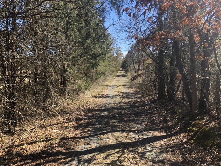 Image for ORDERED SOLD BY U.S. BANKRUPTCY COURT - Parcel 1 of 2 - 31.75 ± AC Development Site - Preliminary Approval For Potential Subdivision - 11880 Remington Rd., Remington, VA