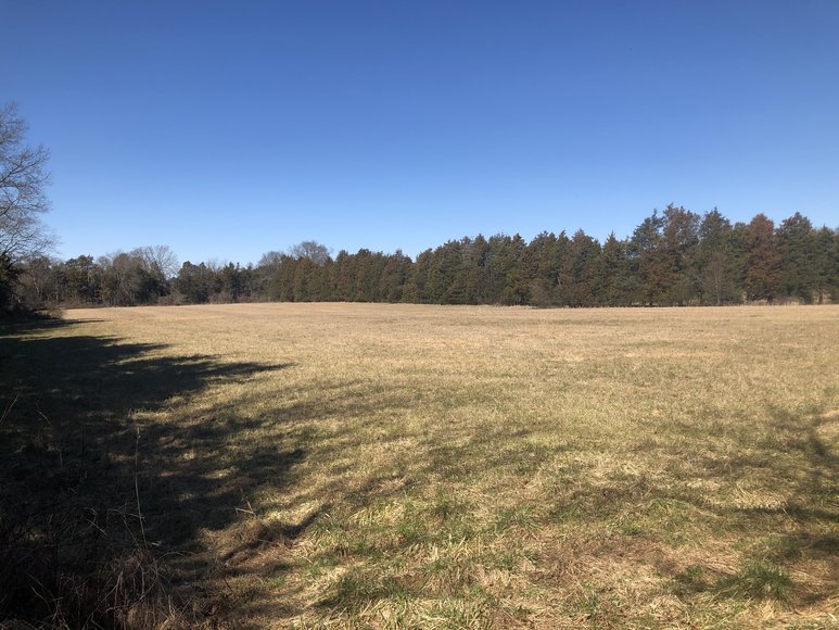 Image for ORDERED SOLD BY U.S. BANKRUPTCY COURT - Parcel 1 of 2 - 31.75 ± AC Development Site - Preliminary Approval For Potential Subdivision - 11880 Remington Rd., Remington, VA