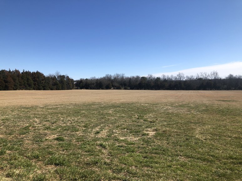 Image for ORDERED SOLD BY U.S. BANKRUPTCY COURT - Parcel 1 of 2 - 31.75 ± AC Development Site - Preliminary Approval For Potential Subdivision - 11880 Remington Rd., Remington, VA