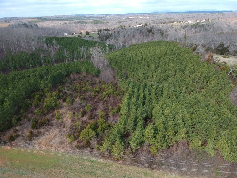 Image for 35 Acres on Seneca Creek in Gladys