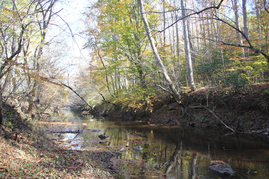 Image for 35 Acres on Seneca Creek in Gladys