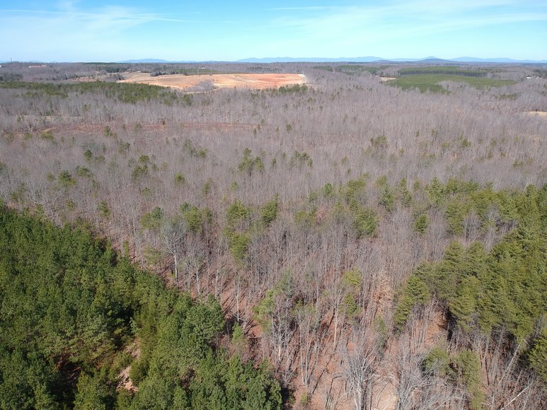 Image for 30 Wooded Acres off 460 in Evergreen