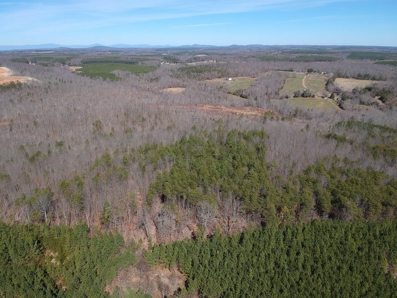 Image for 30 Wooded Acres off 460 in Evergreen