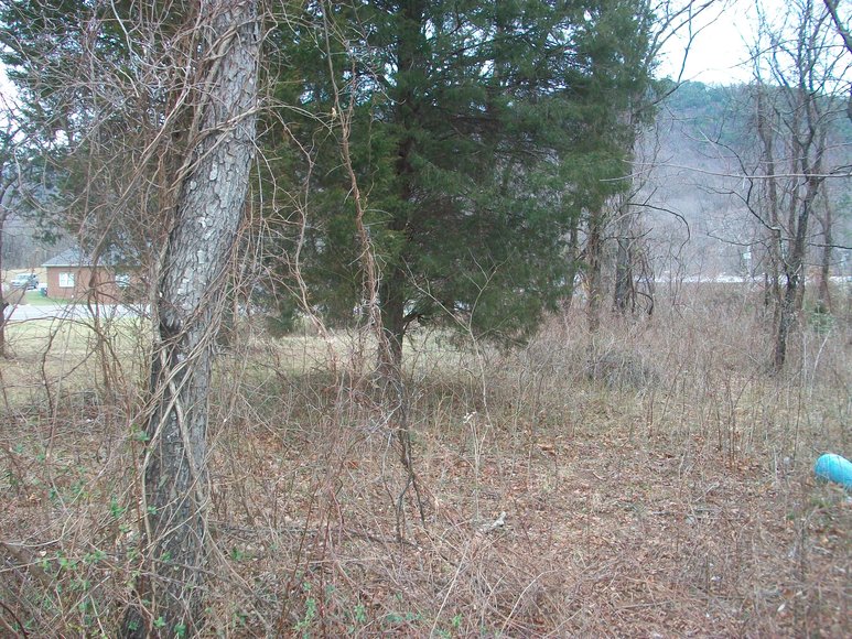 Image for COMMERCIAL REAL ESTATE AUCTION: 2 Lots (Bedford, Moneta, VA)