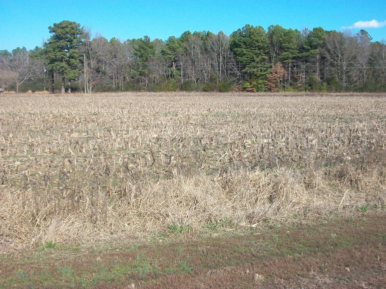 Image for REAL ESTATE AUCTION: 4 Waterfront Tracts (Callao, VA)