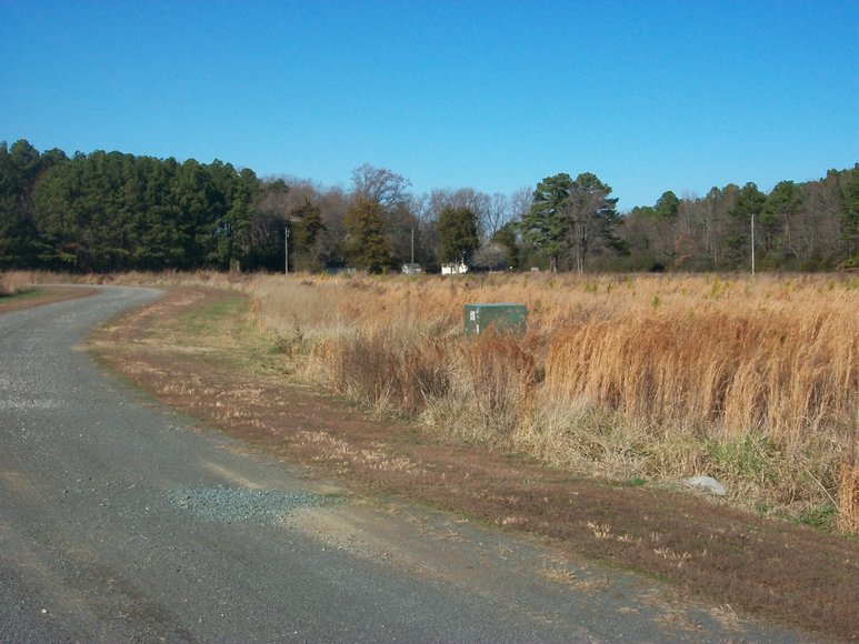 REAL ESTATE AUCTION 4 Waterfront Tracts (Callao, VA)